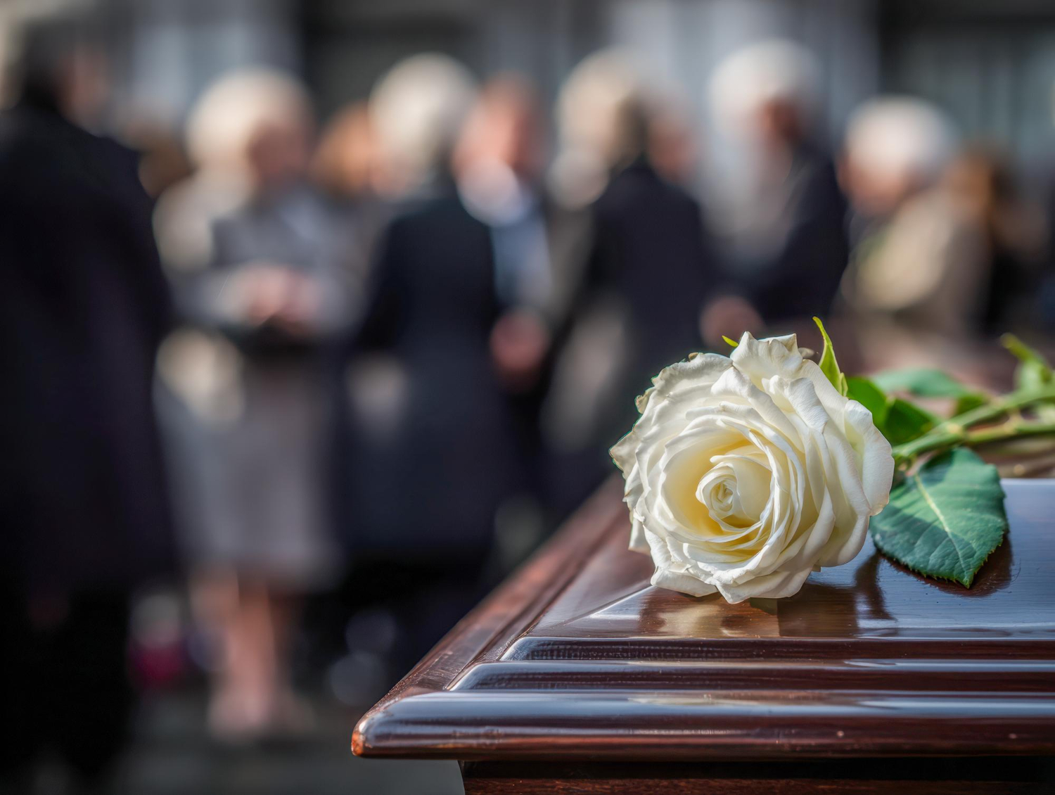 Bijela ruža na drvenom lijesu – sprovod i ukop u Hrvatskoj
